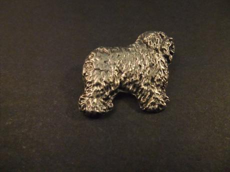 Bouvier des Flandres veedrijver rashond zilverkleurig